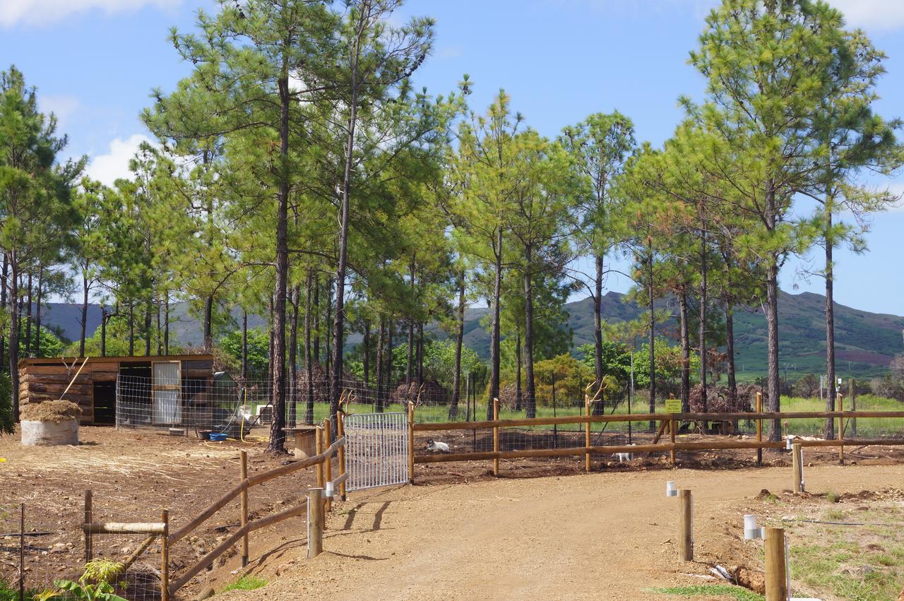 Le Gite Du Koniambo Voh Exterior foto