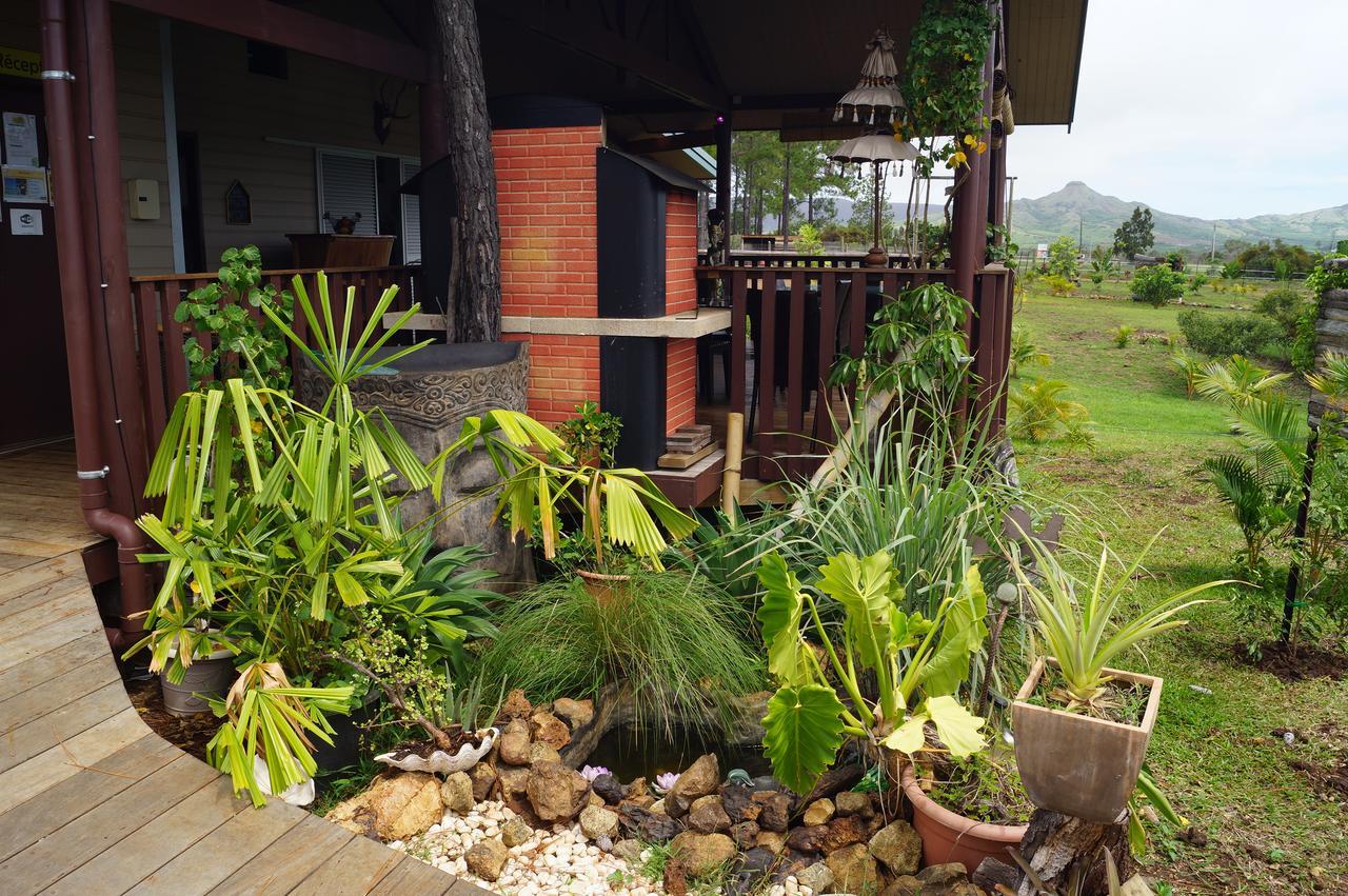 Le Gite Du Koniambo Voh Exterior foto
