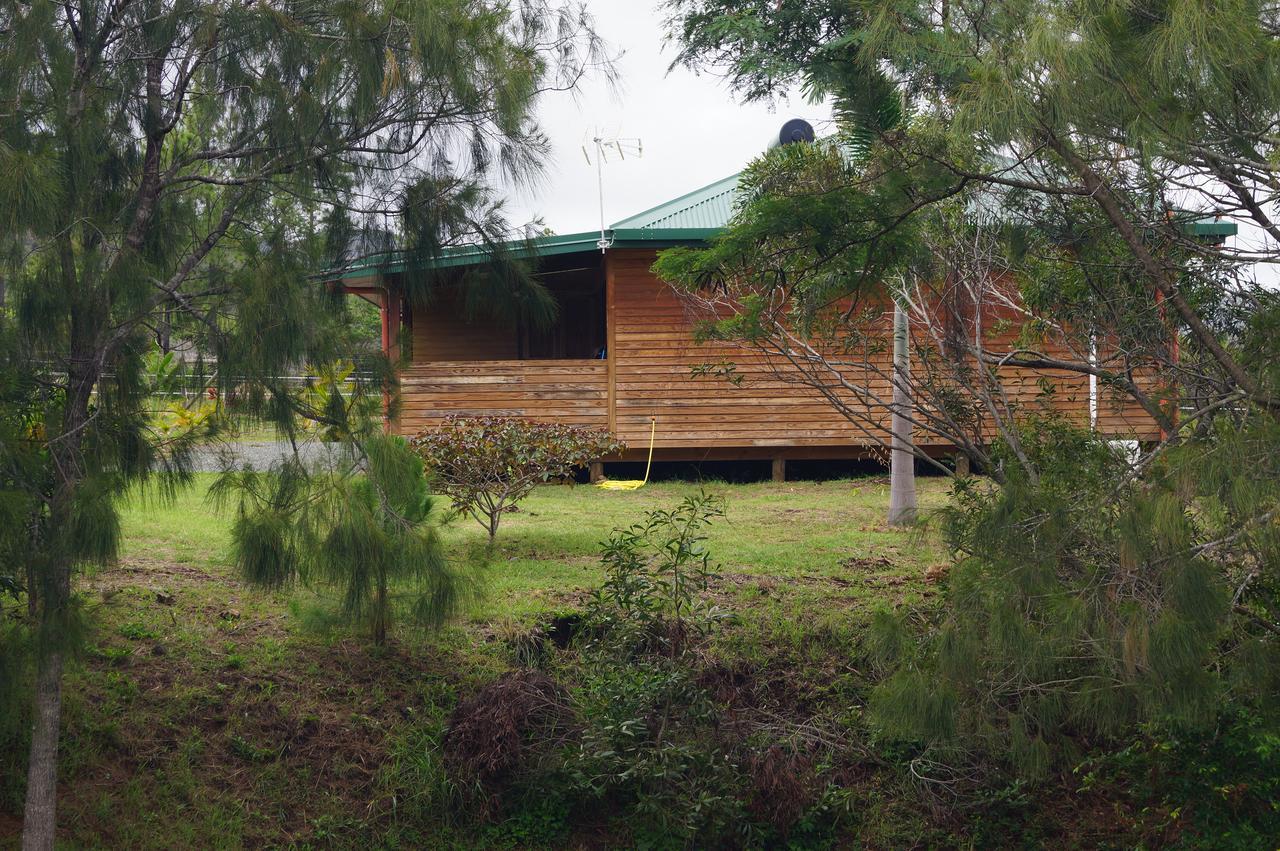 Le Gite Du Koniambo Voh Exterior foto