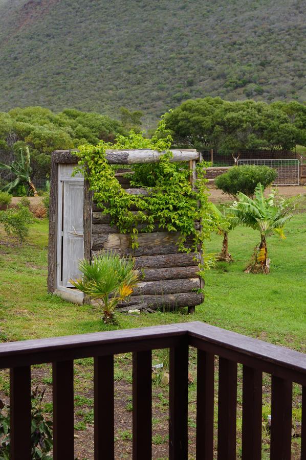 Le Gite Du Koniambo Voh Exterior foto