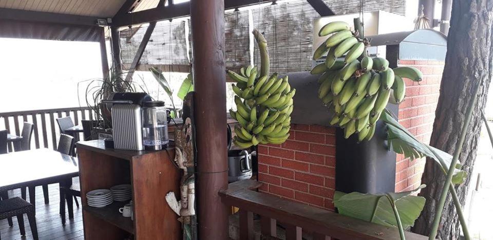 Le Gite Du Koniambo Voh Exterior foto