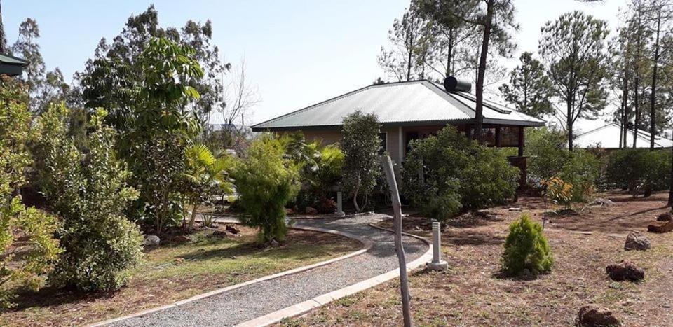 Le Gite Du Koniambo Voh Exterior foto